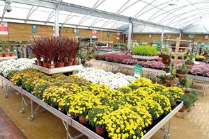 Dobbies Chesterfield